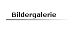 Bildergalerie